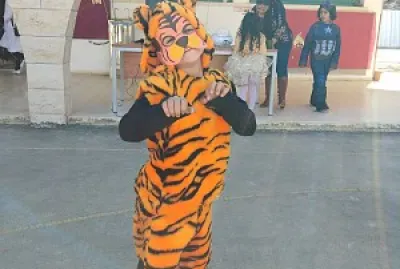 ×™× ××™ ×¤×•×¨×™× jigsaw puzzle