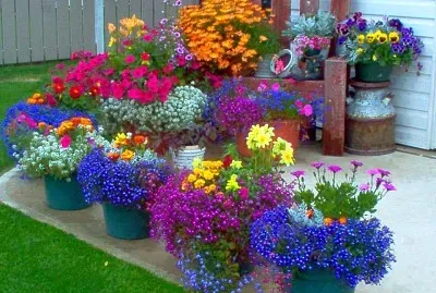 flores jigsaw puzzle