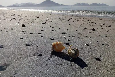 San Carlos, Sonora MÃ©xico