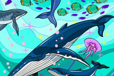 ×“×’×™× ×‘×™×