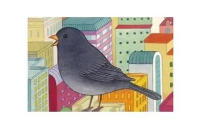 cip-cip jigsaw puzzle