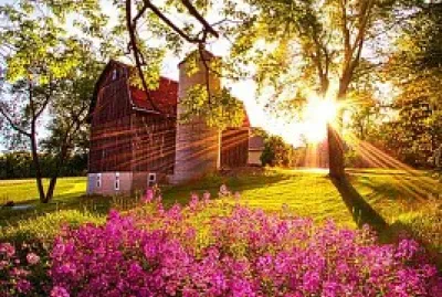 flores jigsaw puzzle