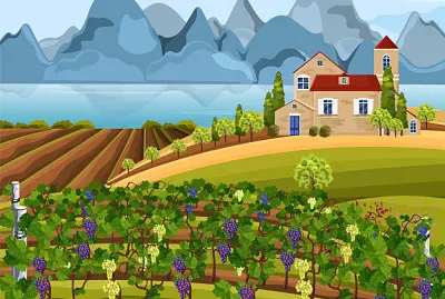 EL LABRADOR jigsaw puzzle