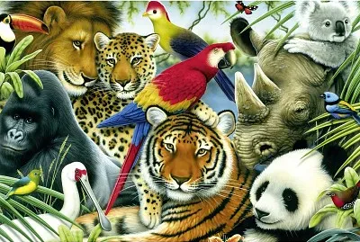 SELVA