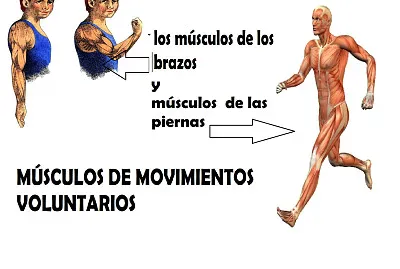 Rompecabezas NÂ° 3