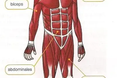 Rompecabezas NÂ° 5