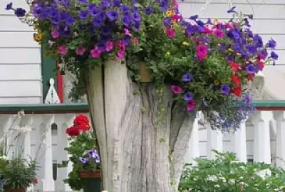 flores