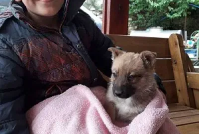 ðŸ”Ø£ÙˆØ³ðŸ¨