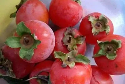 frutas