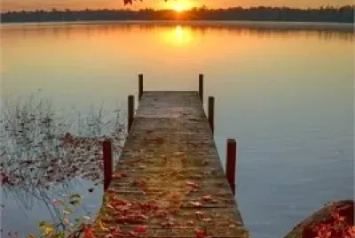 Linda Naturaleza Y Animales