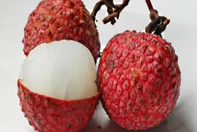 frutas