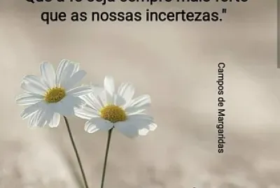 Bom Dia 2