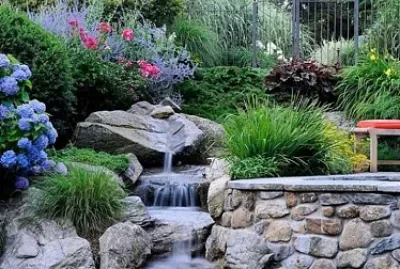 jardin