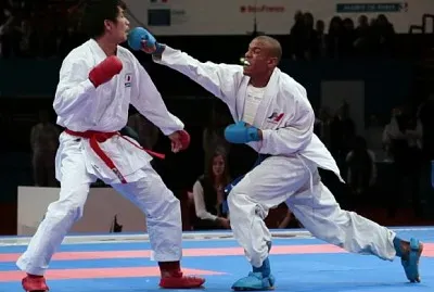 Karate jigsaw puzzle