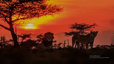 el ocaso