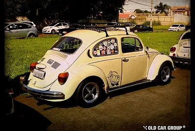 beetle