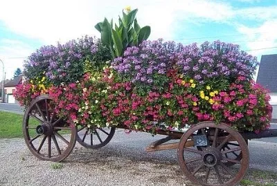 flores