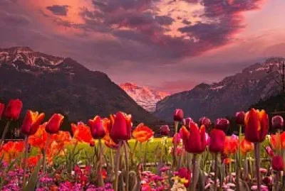 NATURALEZA