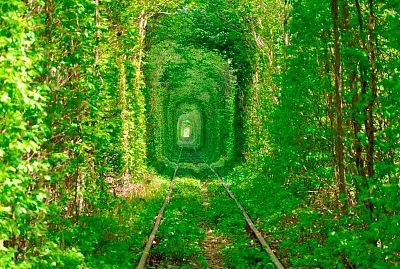 loca por los puzzles