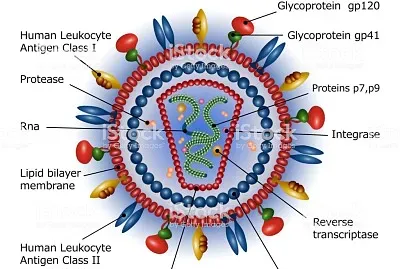 Grupo Vl de Baltimore