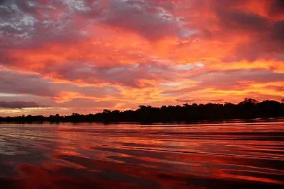 Amazonia jigsaw puzzle