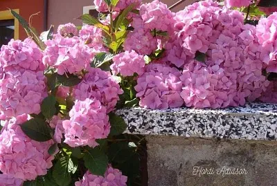 imagem jigsaw puzzle