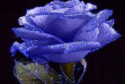 imagem jigsaw puzzle