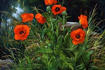 imagem jigsaw puzzle