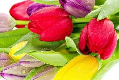 imagem jigsaw puzzle