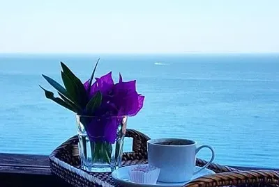 Tea time