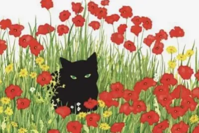 Chat coquelicots