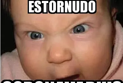 sistema excretar