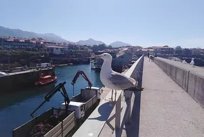 llanes
