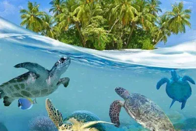 animales jigsaw puzzle