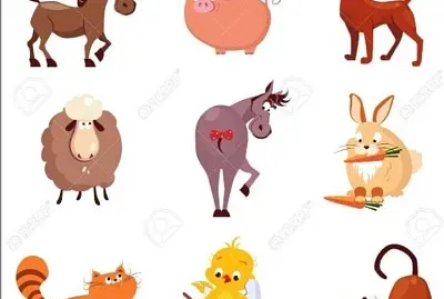 Animales