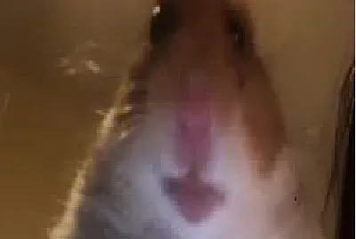 Beijaminarola jigsaw puzzle