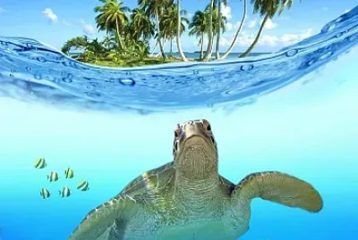 animales