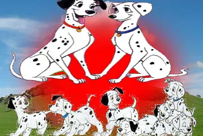 dalmata
