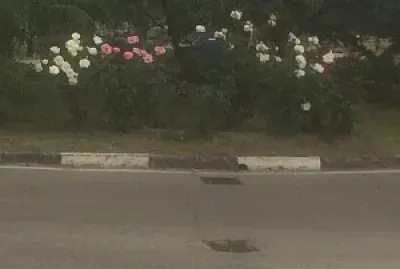 Parque