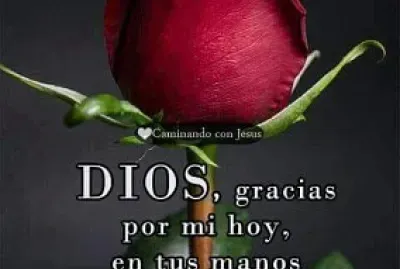 UN ROSA
