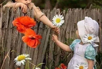 פאזל של gamins