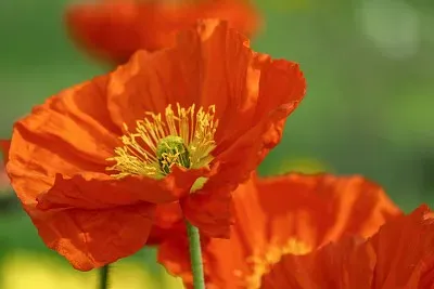 naturaleza