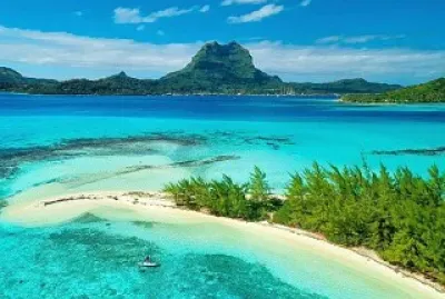 natural jigsaw puzzle