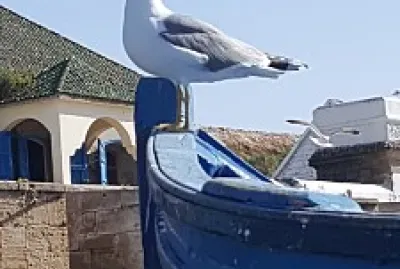 essaouira