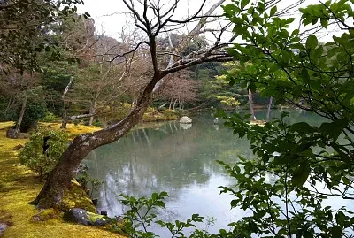 Japon - Kyoto - paysage 2 jigsaw puzzle