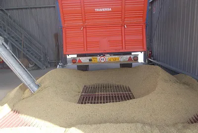 IL RISO NELL ' ESSICATOIO