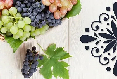 frutas
