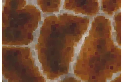 peau de girafe