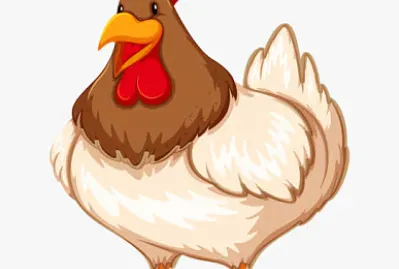 Chicken jigsaw puzzle