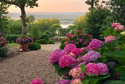 פאזל של flores